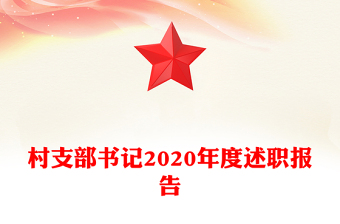 村支部书记2020年度述职报告