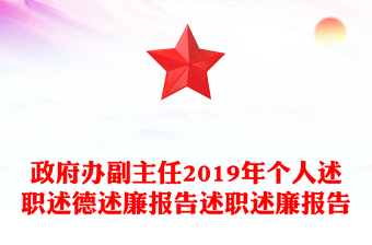 政府办副主任2019年个人述职述德述廉报告述职述廉报告
