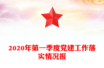 2020年第一季度党建工作落实情况报