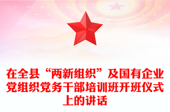 在全县“两新组织”及国有企业党组织党务干部培训班开班仪式上的讲话