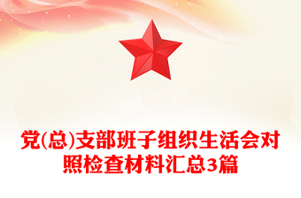 党(总)支部班子组织生活会对照检查材料汇总3篇