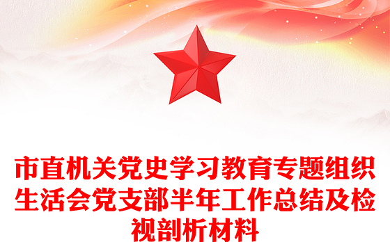 市直机关党史学习教育专题组织生活会党支部半年工作总结及检视剖析材料