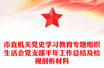 市直机关党史学习教育专题组织生活会党支部半年工作总结及检视剖析材料