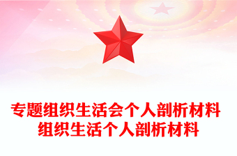 专题组织生活会个人剖析材料 组织生活个人剖析材料