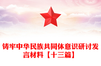 铸牢中华民族共同体意识研讨发言材料【十三篇】
