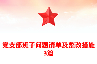 党支部班子问题清单及整改措施3篇