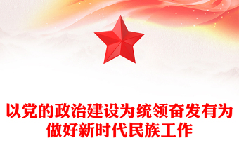 以党的政治建设为统领奋发有为做好新时代民族工作