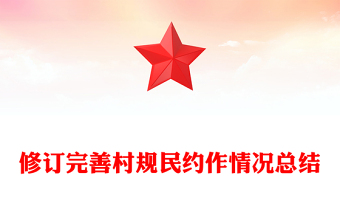 修订完善村规民约作情况总结