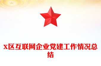 X区互联网企业党建工作情况总结