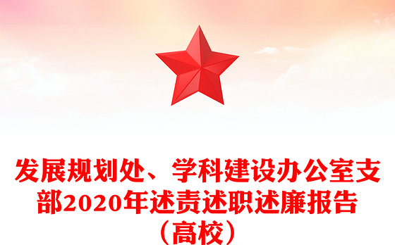 发展规划处、学科建设办公室支部2020年述责述职述廉报告（高校）