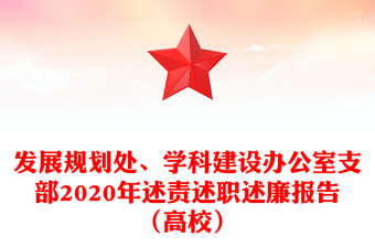 发展规划处、学科建设办公室支部2020年述责述职述廉报告（高校）