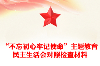 “不忘初心牢记使命”主题教育民主生活会对照检查材料