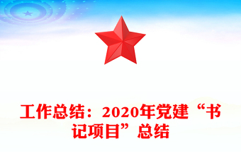 工作总结：2020年党建“书记项目”总结