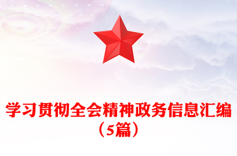 学习贯彻全会精神政务信息汇编（5篇）