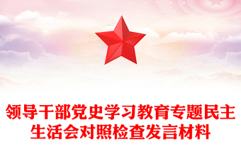 领导干部党史学习教育专题民主生活会对照检查发言材料