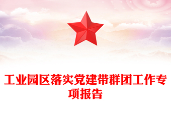 工业园区落实党建带群团工作专项报告