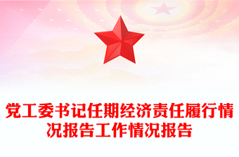 党工委书记任期经济责任履行情况报告工作情况报告