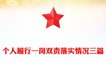 个人履行一岗双责落实情况三篇