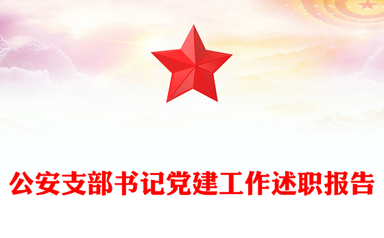 公安支部书记党建工作述职报告