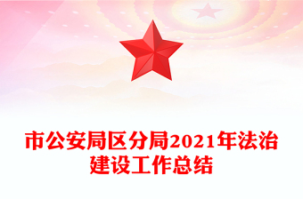 市公安局区分局2021年法治建设工作总结