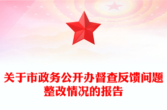 关于市政务公开办督查反馈问题整改情况的报告