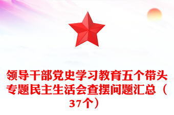 领导干部党史学习教育五个带头专题民主生活会查摆问题汇总（37个）