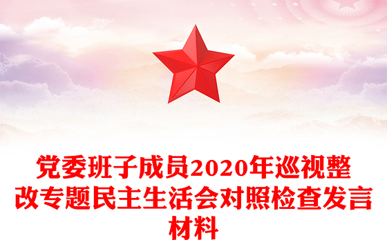 党委班子成员2020年巡视整改专题民主生活会对照检查发言材料