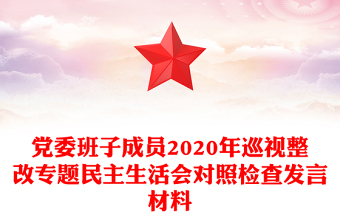 党委班子成员2020年巡视整改专题民主生活会对照检查发言材料