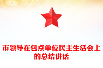 市领导在包点单位民主生活会上的总结讲话
