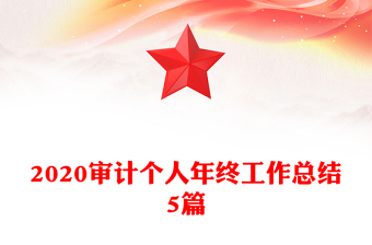 2020审计个人年终工作总结5篇