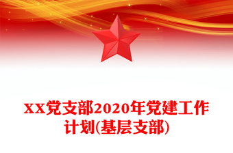 XX党支部2020年党建工作计划(基层支部)