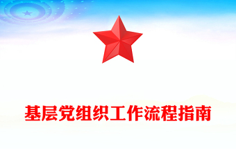 基层党组织工作流程指南