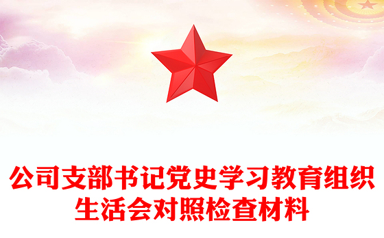 公司支部书记党史学习教育组织生活会对照检查材料