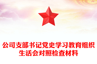 公司支部书记党史学习教育组织生活会对照检查材料
