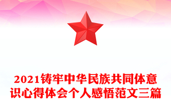 2021铸牢中华民族共同体意识心得体会个人感悟范文三篇