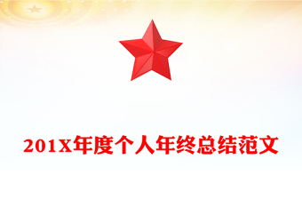 201X年度个人年终总结范文