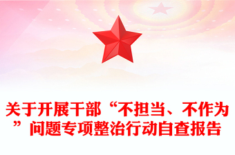 关于开展干部“不担当、不作为”问题专项整治行动自查报告