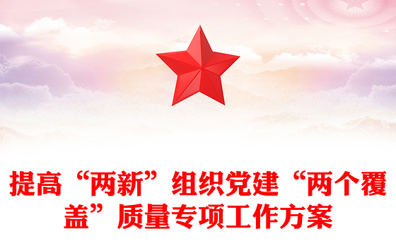 提高“两新”组织党建“两个覆盖”质量专项工作方案