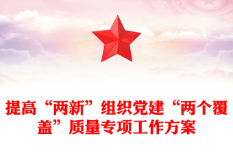 提高“两新”组织党建“两个覆盖”质量专项工作方案