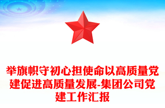 举旗帜守初心担使命以高质量党建促进高质量发展-集团公司党建工作汇报