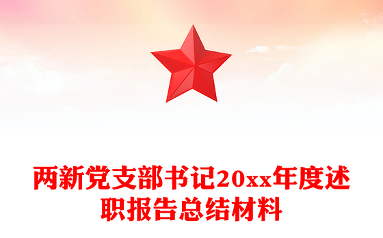 两新党支部书记20xx年度述职报告总结材料