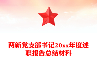 两新党支部书记20xx年度述职报告总结材料