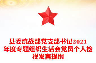 县委统战部党支部书记2021年度专题组织生活会党员个人检视发言提纲