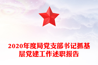 2020年度局党支部书记抓基层党建工作述职报告