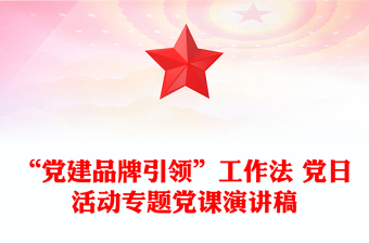 “党建品牌引领”工作法 党日活动专题党课演讲稿