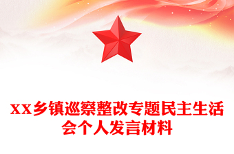 XX乡镇巡察整改专题民主生活会个人发言材料