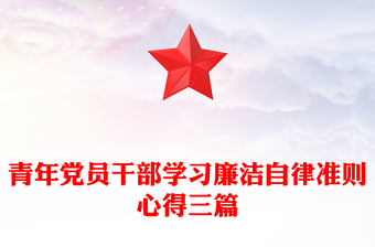 青年党员干部学习廉洁自律准则心得三篇