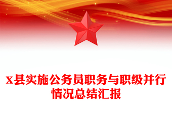 X县实施公务员职务与职级并行情况总结汇报