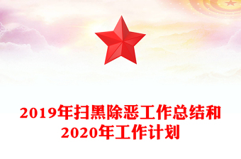 2019年扫黑除恶工作总结和2020年工作计划