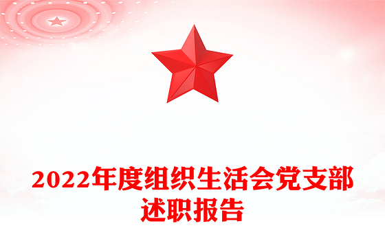2022年度组织生活会党支部述职报告
